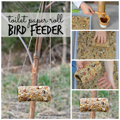 bird feeder bird feeder